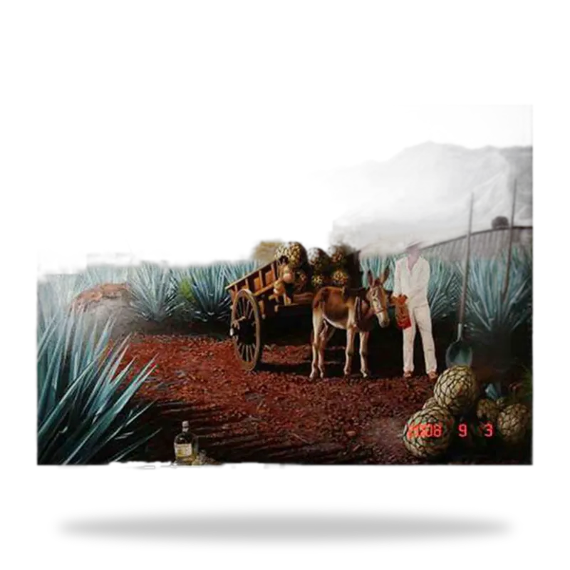 Escena Mexicana 002 vista 4