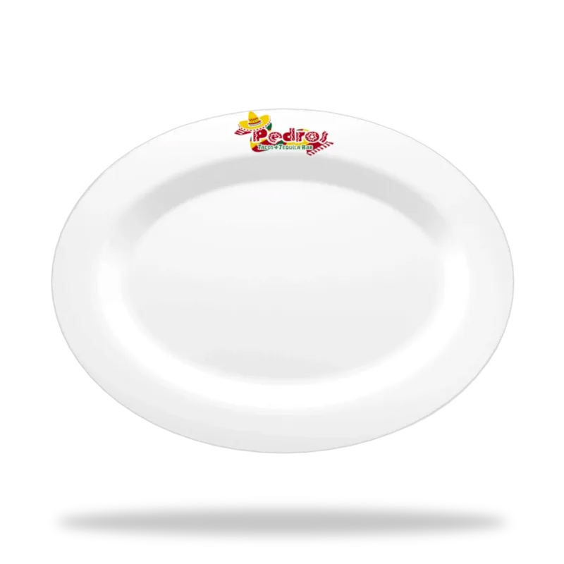 Platón Oval Polar logo vista 2